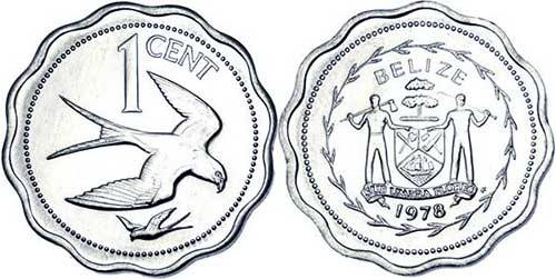 bird-belize-al-coin