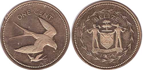 bird-belize-coin