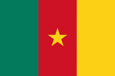 Bandera Camerún