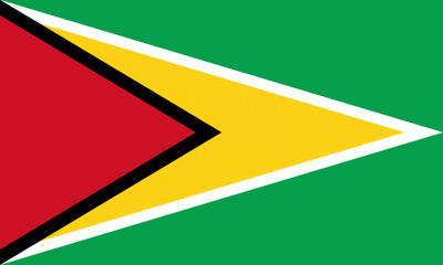 Bandera Guyana