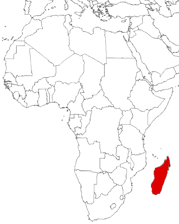 Madagascar en el mapa