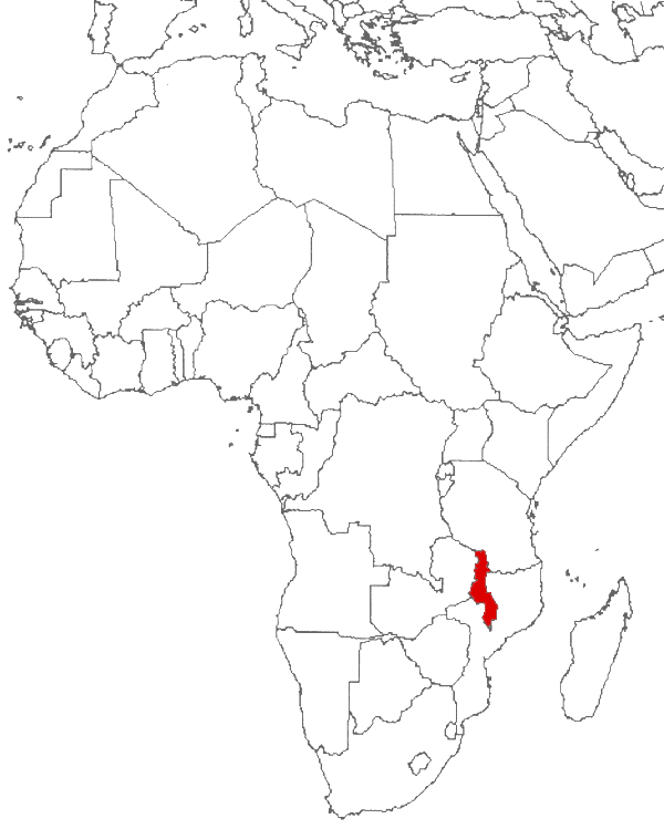 Malawi en el mapa