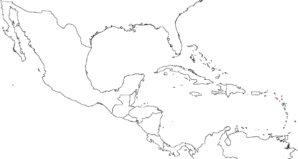 San Cristóbal y Nieves en el mapa