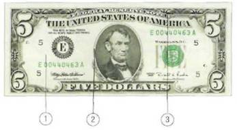 Five Dollars 1993-1995