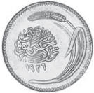 Coin Turkey